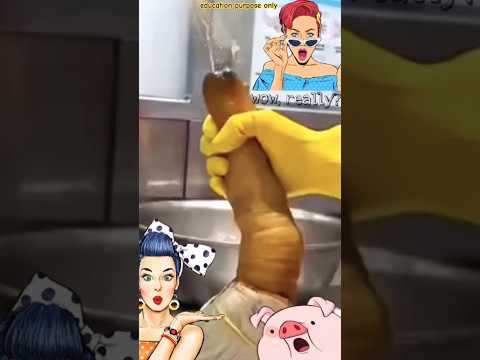 अचम्मको समुद्री जीव खाईन्छ! 😱 यस्को रहस्यमय स्वाद 🌊 | Geoduck Clam in  Nepali #geoduck #facts #food