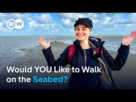 Discover the Wadden Sea National Park on the German North Sea coast!