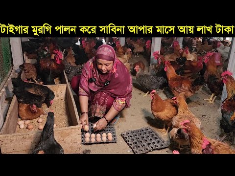 নারী উদ্যোক্তা সাবিনা আপার টাইগার মুরগির খামার মাসে আয় লাখ টাকা জানুন বিস্তারিত