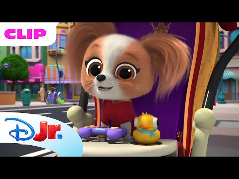 Toys Disappearing 🧸 | SuperKitties ⭐ | Disney Jr. MENA