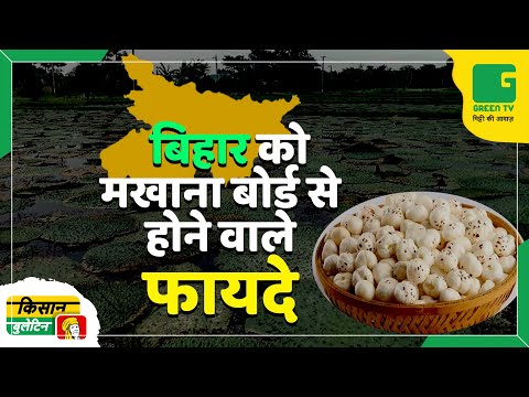 बिहार को मखाना बोर्ड से होने वाले फायदे | Kisan Bulletin | BUDGET