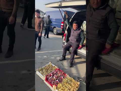 ВОЙ ДОД ДЕВОРАСИЗ УЗУМЛАР УЧЯБДИ Олтиариқ узум бозори