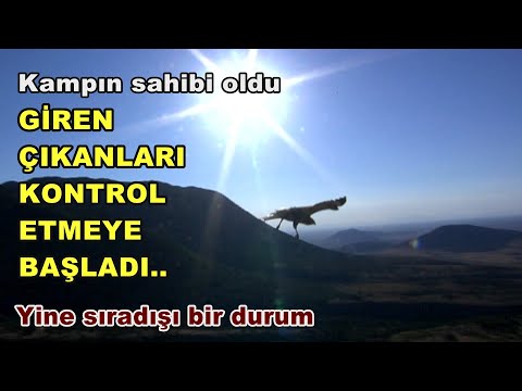 Kampın sahibi oldu/GİREN ÇIKANLARI KONTROL ETMEYE BAŞLADI