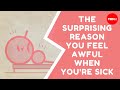 Understanding the Flu and Immune Response