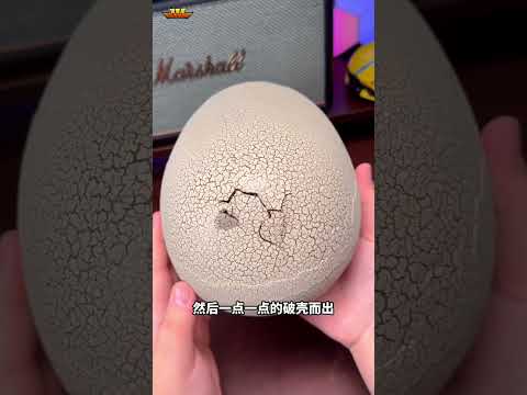pria ini membeli mainan telur t-rex yang sungguh unik?! 😱