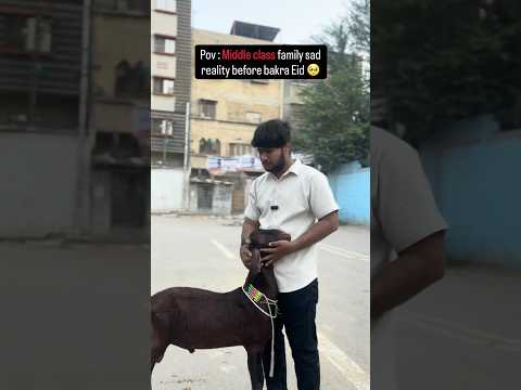 Alhumdulillah ❤️ #explore#bakraeid#trending#cow#emitional#middleclass#shortsfeed#viral#viralvideos