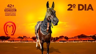 42° EXPOSIÇÃO NACIONAL DO CAVALO MANGALARGA MARCHADOR | 2° DIA Pepê Figueiredo