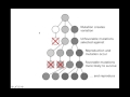 Natural Selection and Genetic Mutations