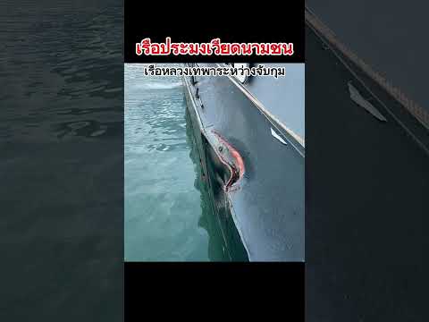 สุดเหิมเกรม เรือประมงเวียดนามพุ่งชนเรือหลวงเทพาระวังจับกุม
