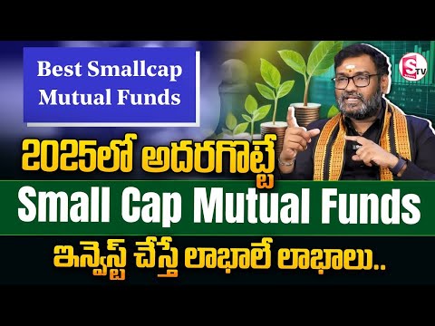 Best Small Cap Funds for 2025 । Top Small Cap Mutual Funds to Invest now #mutualfunds #investment