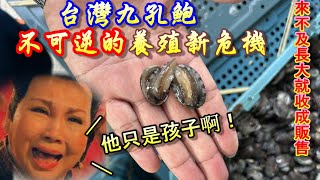 【小九孔王國】曾經以九孔養殖王國自傲的台灣，度過病災重新站起，結果遇到了更大的困境，導致九孔還沒長大就出售　ＦＴ．漁人故事館　謝老師