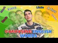 Understanding Quantifiers and Nouns