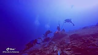 Did you know how we caught those baitfish at a depth of 45 meters? Watch till the end!
