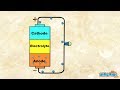Battery Function and Components