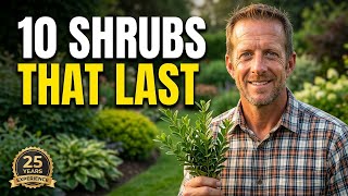 10 Shrubs I'll ALWAYS Use After 25 Years of Landscaping