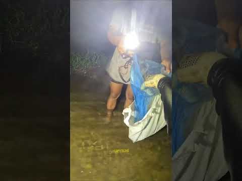 Yang dikangenin dapat juga asik #cariikan