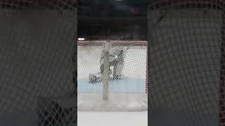 Sweetness #hockey #ahl