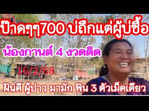 ป๊าดๆๆ 700 บ่ถืกแต่ผู้บ่ซื้อ น้องกานต์ 4 งวดติด งวดนี้แฮงคัก ฝันแล้วผู้บ่าวมามัก ฟัน 3 ตัวเม็ดเดียว