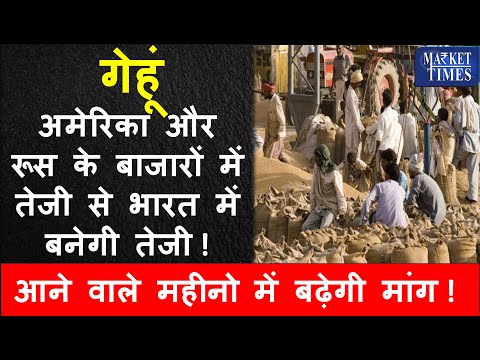 गेहूं  अमेरिका और रूस के बाजारों में तेजी से भारत में बनेगी तेजी #wheat #gehu #mandi #price