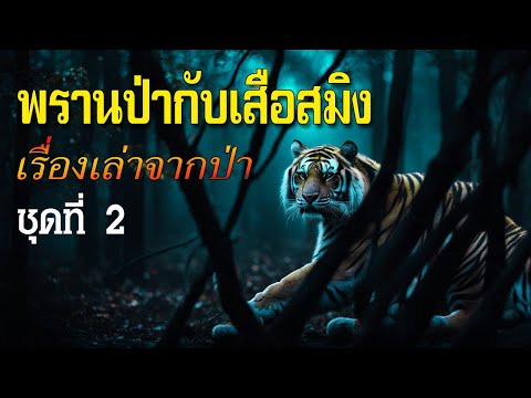 รวมเรื่องเล่าจากป่าพรานป่ากับเสือสมิงชุดที่2