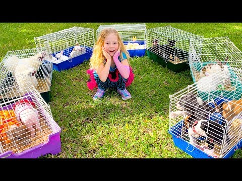 Nastya tem um zoológico em casa