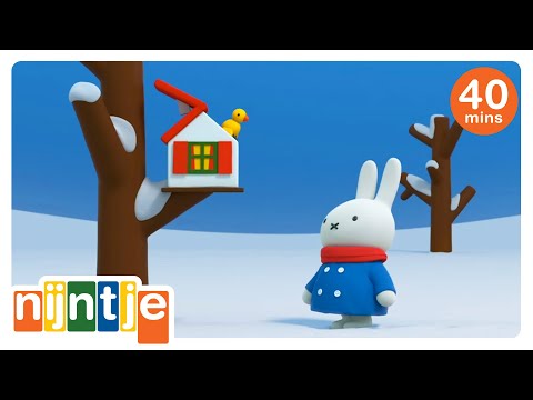 Nijntje en de vogel die in een huis woonde | Nijntje | Het beste van Nijntje