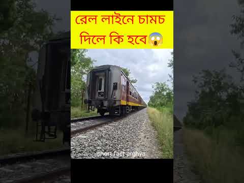 রেল লাইনের উপরে চামচ রাখলে কি হয় 🤔 experiment video#train #experiment #facts @MrABCD