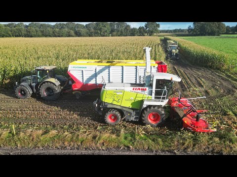 Mais Silage 2024 | Claas Jaguar 900 | Pleizier & Timmer