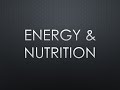 Energy Measurement and Nutritional Content