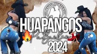 HUAPANGOS Pa BAILAR💃🏻🔥 2024