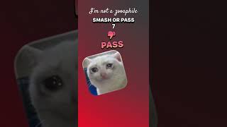 Smash or Pass cats #cats #smashorpass #cute #beluga #oioioi #meow #weird #yourubeshorts #thenights