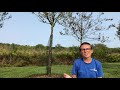 Earth's Movement and Seasons