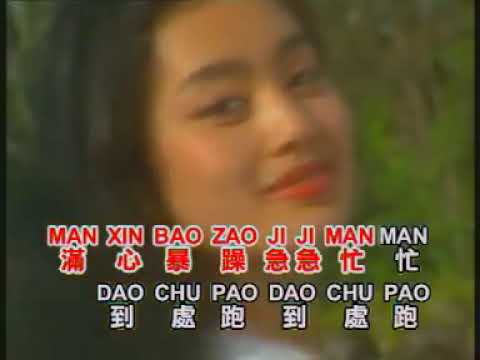 龍飄飄   歌迷小姐 【Original Karaoke】