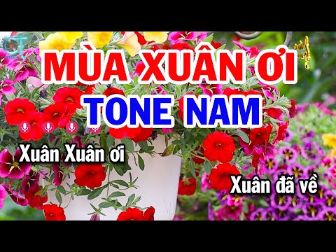 Karaoke Mùa Xuân Ơi Tone Nam Cm | Nhạc Xuân Mới Nhất | Tuấn Kiệt