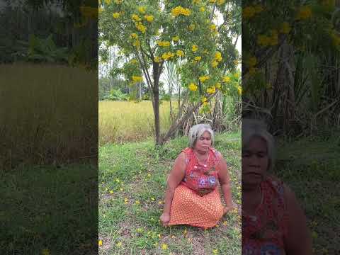 ยายตกใจ #funny #comedy #haha #shots #คนไทยเป็นคนตลก55555