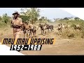 Mau Mau Rebellion Key Concepts