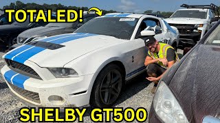 Dream Car or Total Loss? INSANE Wrecked 2010 Shelby GT500 Walkaround