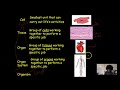 Human Body Systems and Tissues