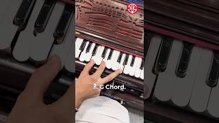 Radha Raman on Harmonium 🎹🎶