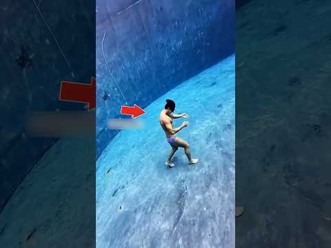 This dad is very brave #shorts #ashortaday #tranding #facts #shortsfeed #vlog