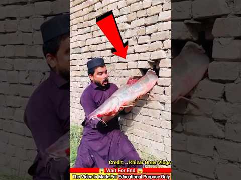 মাছ চুরি করতে গিয়ে অতঃপর!~mini wood toy woodworking'art skill hands/crafts #shorts #shortsfeed