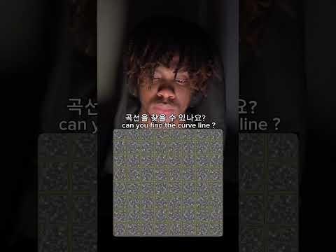 곡선 보여