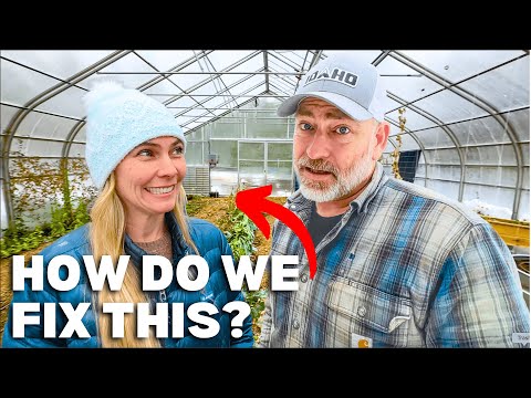 What's WRONG With Our Greenhouse's SOIL?