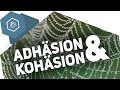 adhaesion-kohaersion/