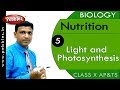 Photosynthesis Experiments and Discoveries