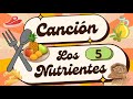 Conociendo los Nutrientes