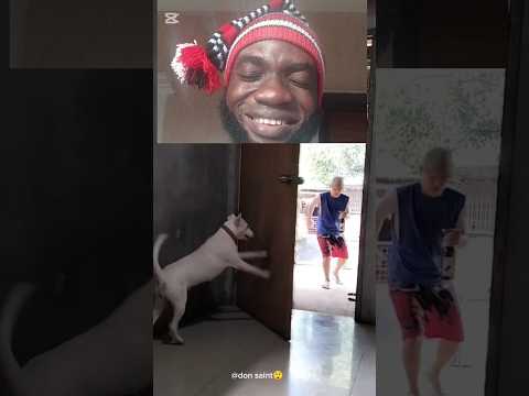 The dog has really had enough 😁😄😃😀