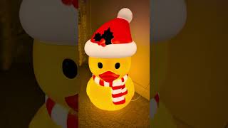 Christmas Duck Blow Mold Spotted @ Lowes