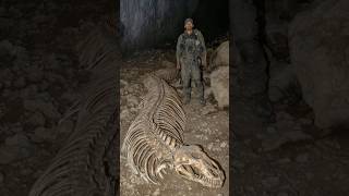 Creepy Cave Discoveries That Defy Explanation