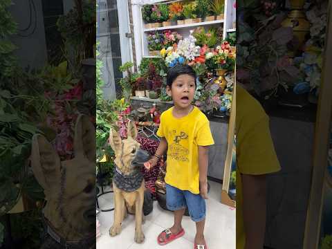 Ayaan babu ko doggy ne kaat liya 🐕❤️🤣 #shorts #emotional #suspense #funny #comedy #ytshorts